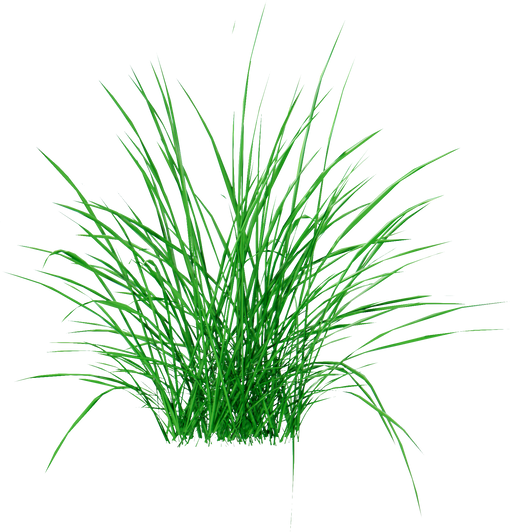 Reed grass cutout